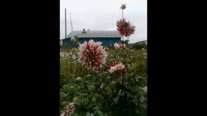 Город Тавда Свердловской области.