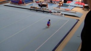 Вольные упражнения 1 юношеский