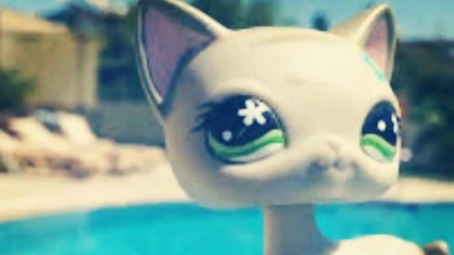 Слайдшоу 20 фото Ann di смотреть онлайн