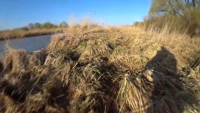 ЗА ТАКИМИ ПОКЛЁВКАМИ СТОИЛО СЮДА ЕХАТЬ. Рыбалка в мае 2021 смотреть онлайн