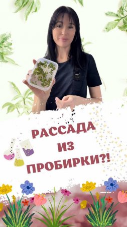 Выращиваем растения из пробирки #питомникросток #питомникрастений #саженцы