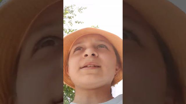 Влог"АЛКА ФИАЛКА,, смотреть онлайн