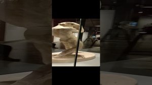 Музей. Современная экспозиция.