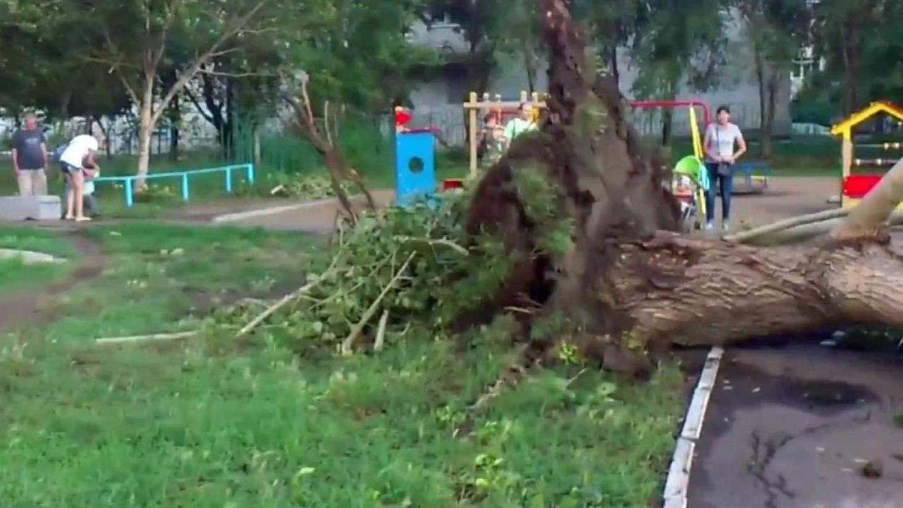 Коммунальные службы Омска ликвидируют последствия урагана