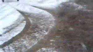 Самодельный баги