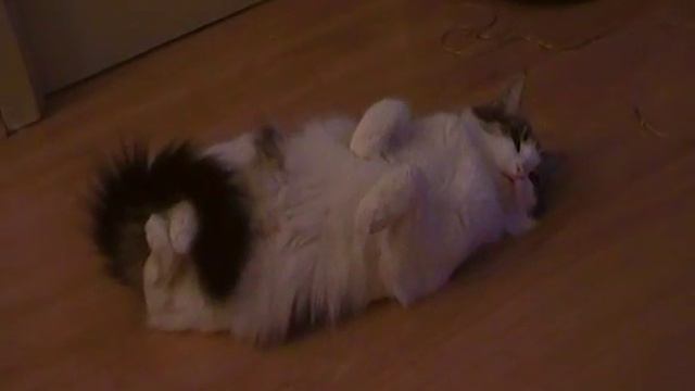 Настя дура смотреть онлайн