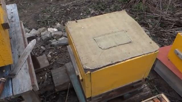 Народный улей Варрэ. Весенняя ревизия. Суровая правда. Перетопка воска