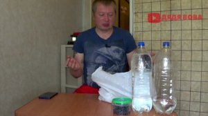 ЖИВУ НА 100 РУБЛЕЙ ВЕСЬ ДЕНЬ / ЧТО МОЖНО НАЙТИ В ЛЕСУ?