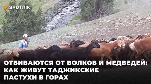 Как живут и работаю пастухи в горах Таджикистана