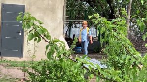 Каждодневные оскорбления от соседей длятся годами.