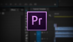 Базовый монтаж видео
2.4 Исходное видео - 4 лекция