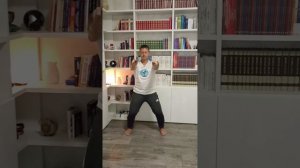 Qi gong Esercizio di Shaolin statico per lo sviluppo e il reintegro dell'energia