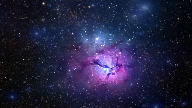 81 - 27.06.19 "Встреча неизвестных существ" смотреть онлайн