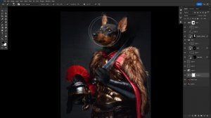 How to Create a Dog General Painting in Photoshop