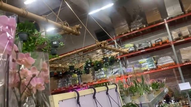 Флорэвиль ? обзор орхидей в наличии ? Москва Ступинский пр д1 стр6 ? 15.06.22