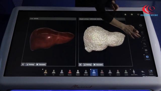 Pirogov Interactive Anatomy Table смотреть онлайн
