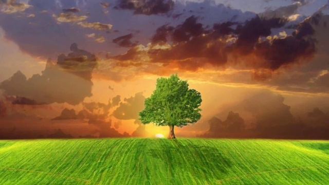 Никита и Ангелина - кто ты есть, человек? смотреть онлайн