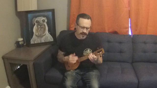 Suicide Machines Sometimes I Don't Mind cover on ukulele смотреть онлайн