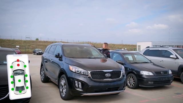 Volkswagen, Toyota, Fiat, Honda и Kia из США. Реальные цены на авторынке Autopapa