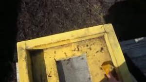 Чистка ППС улья. Часть первая