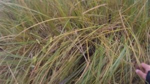 Рыбалка в октябре на севере Омской области