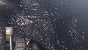 Обработка колёсных арок, антикор, шумоизоляция штатных локеров