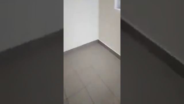 Послестроительная уборка подъезда. Выполнено клининговой компанией Территория Чистоты