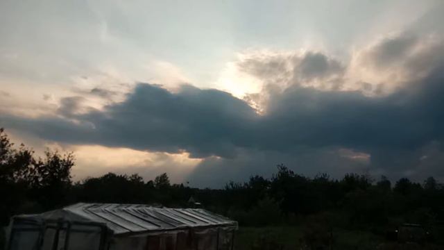 чудо природы. подсолнухи не смотрят на солнце / Sunflowers do not look at the sun. zombie apocalyps смотреть онлайн