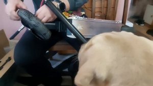 Razor A5 Air - обзор самоката ?