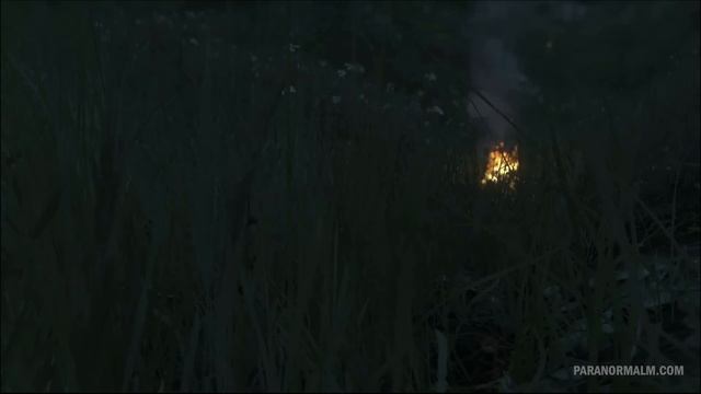 16 True Paranormal Stories The Prophecies of Grand aunt Helen смотреть онлайн