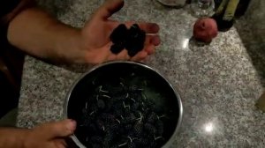 The crop of our Shangri La mulberry tree. Первый реальный сбор шелковицы сорта Шангри Ла.