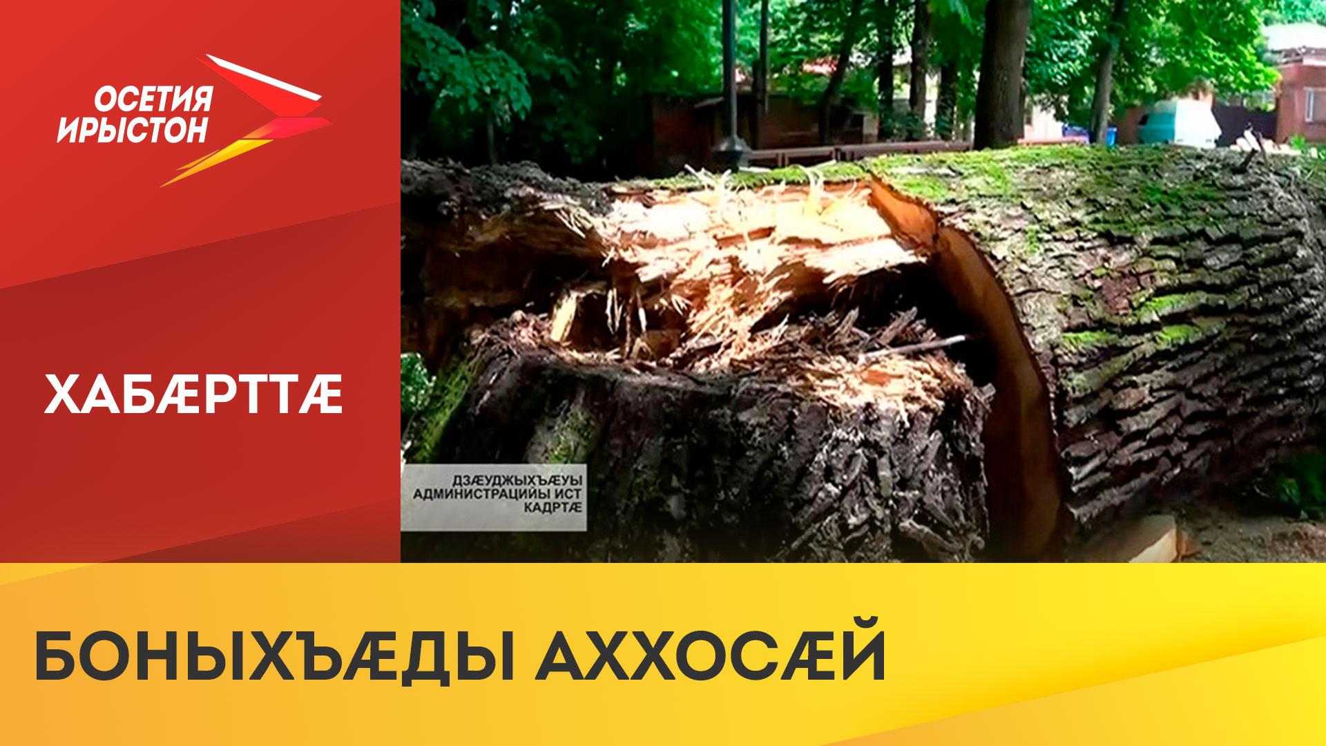 Коммуналон службæтæ Дзæуджыхъæуы иуварс кæнынц æвзæр боныхъæды фæстиуджытæ