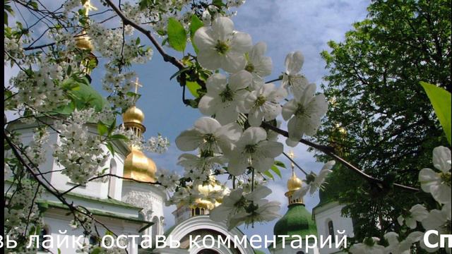 Объяснение Воскресного Евангельского чтения неделя 4 по Пятидесятнице Прот. Григорий Дьяченко смотреть онлайн