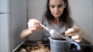 ПОСАДКА ПРОРОЩЕННОЙ КОСТОЧКИ МАНГО в грунт и ПОЛИВ ФИТОСПОРИНОМ