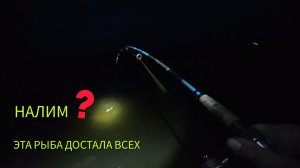 Пришли на НАЛИМА,  а там снова ЭТА рыба