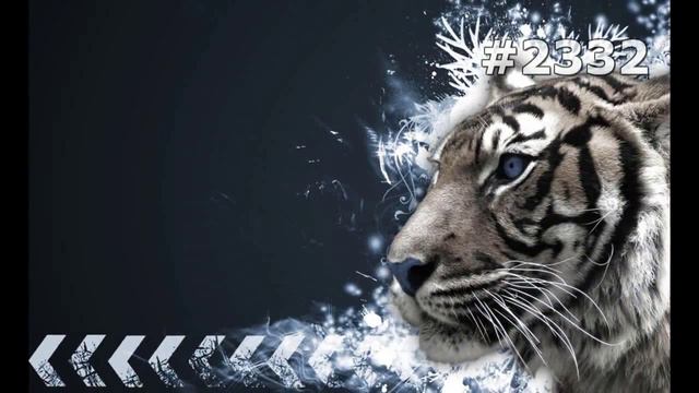 #2332. Тигры (В мире животных) смотреть онлайн