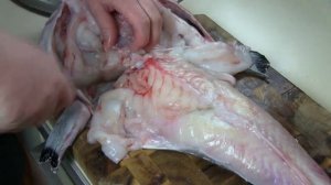 How to skin and fillet fresh Monkfish. Разделка рыбы Морской удильщик (Морской чёрт)