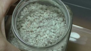 Завершаю эксперимент с микоризой