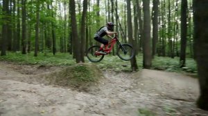 Лесная трасса кросс кантри