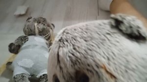 ВАЖНАЯ НОВОСТЬ!!! У НАС ПОПОЛНЕНИЕ?!?!?!!😱😱😱😱