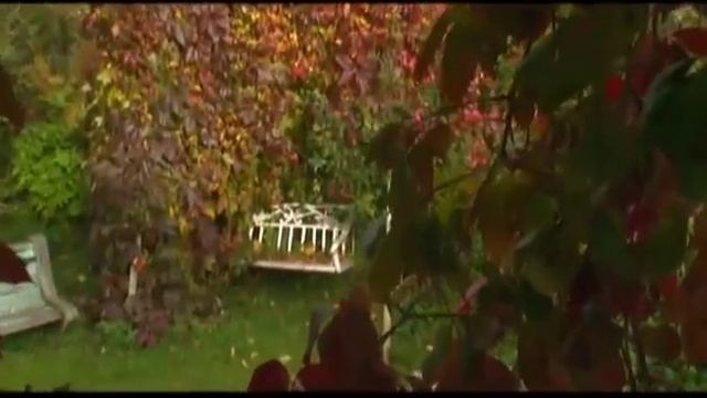 Дачные истории. Виноградная лоза смотреть онлайн