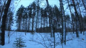 Отвечаю на комментарии. Жизнь на хуторе в лесу.