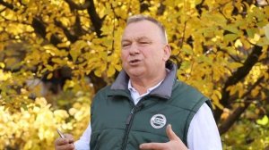 ПРОВЕРЕННОЕ средство от БОЛЕЗНЕЙ! Обработка сада ЖЕЛЕЗНЫМ КУПОРОСОМ.