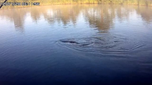 Щуки рубского озера 28072012 HD смотреть онлайн