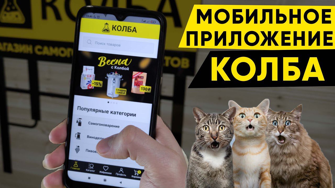 Мобильное приложение Колба