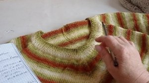 У нас похолодало//Ещё раз про,,Чайку//Безрукавок много не бывает.