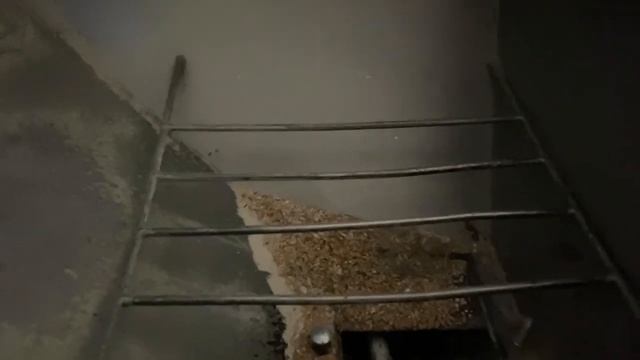 500 тон Что случилось с поросятами смотреть онлайн