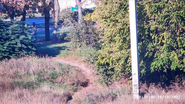 Запорожье. (Зеленбуд) Там, где заканчивается красная линия ответственности. смотреть онлайн