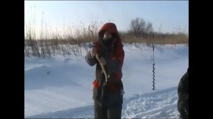 Зимняя рыбалка в Сузунском районе на базе отдыха Клевое место.