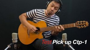 Takamine TDP-110BN